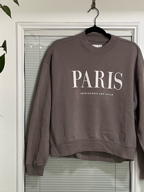 Abercrombie & Fitch Sweaters - Abercrombie & Fitch Sweater Collection Crewneck Long Sleeve Cozy Warm Dusty Tan
